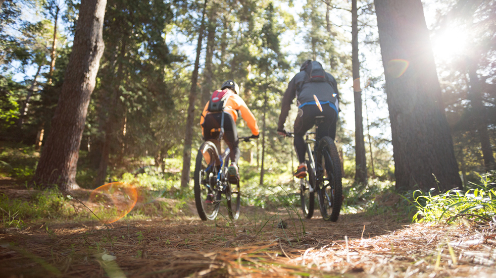 Mountain biking in Forest of Dean